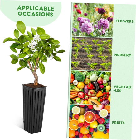 Ghivece adanci, negre pentru flori inalte sau pomisori, 30x10x10 cm, set 50 bucati [8]