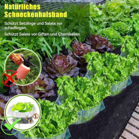 Gulere protectie salata impotriva melcilor, set 10 buc [3]