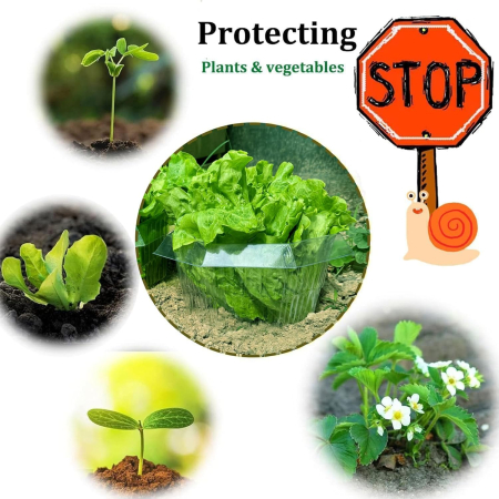 Gulere protectie salata impotriva melcilor, set 10 buc [5]