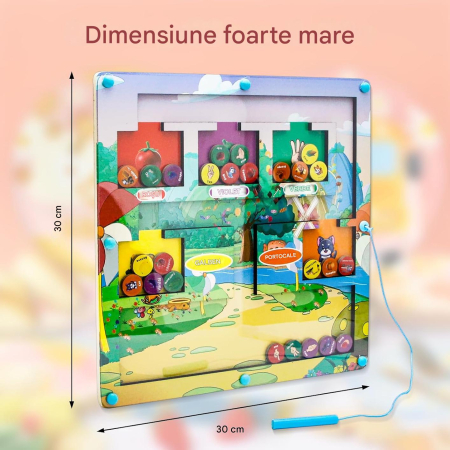 Joc magnetic de atentie si indemanare pentru copii, labirint de selectare culori [1]