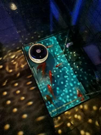 Lampi solare plutitoare pentru piscina, spatii verzi, cai acces. LED-uri, 7 culori [3]