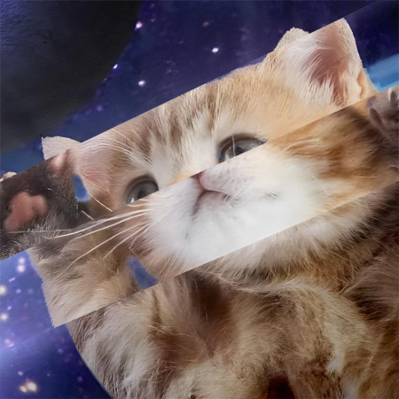 Lenjerie de pat din microfibra netedă, mătăsoasă, model pisici 220x240 cm+2 fete perini 65x65 [3]