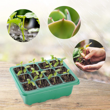 Minisera 5 cutii de germinare rasaduri cu 60 celule si lampi de crestere [5]
