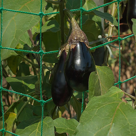 Plasa verde de crestere a plantelor cataratoare 5x2 m [4]