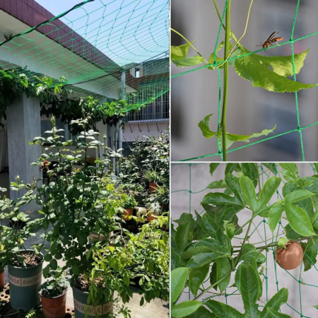 Plasa verde de crestere a plantelor cataratoare 5x2 m [6]