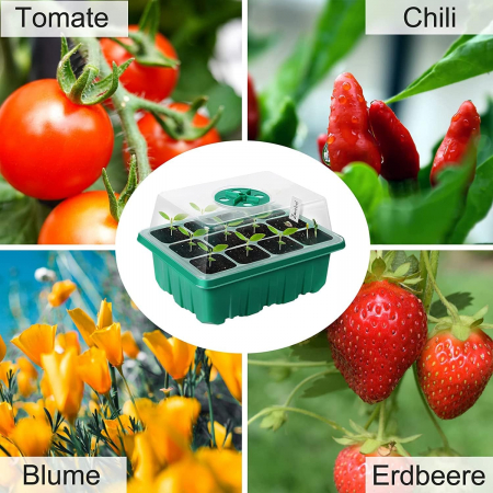 Minisera 6 tavite germinare rasaduri cu 72 celule [6]