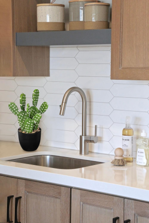 Cactus artificial în ghiveci (Euphorbia) plantă decorativă pentru casă și birou 26 cm [3]
