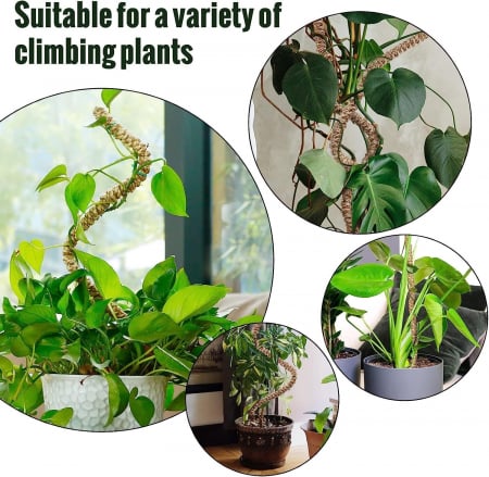 Stalpi ajustabili pentru sprijin plante de casa, set 3x76 cm [6]