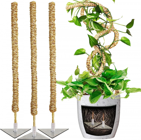 Ghivece si suporturi - Stalpi ajustabili pentru sprijin plante de casa, set 3x76 cm