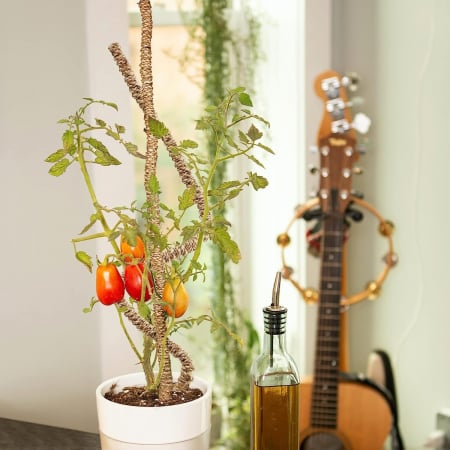 Stalpi ajustabili pentru sprijin plante de casa, set 3x76 cm [4]