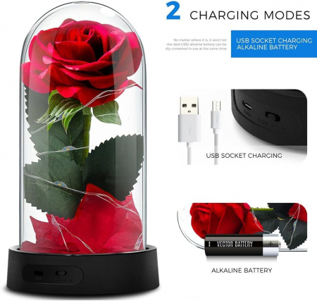 Trandafir rosu etern, iluminat cu LED-uri-"Trandafirul Frumoasa și Bestia" 18 cm [3]