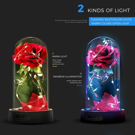 Trandafir rosu etern, iluminat cu LED-uri-"Trandafirul Frumoasa și Bestia" 18 cm [4]