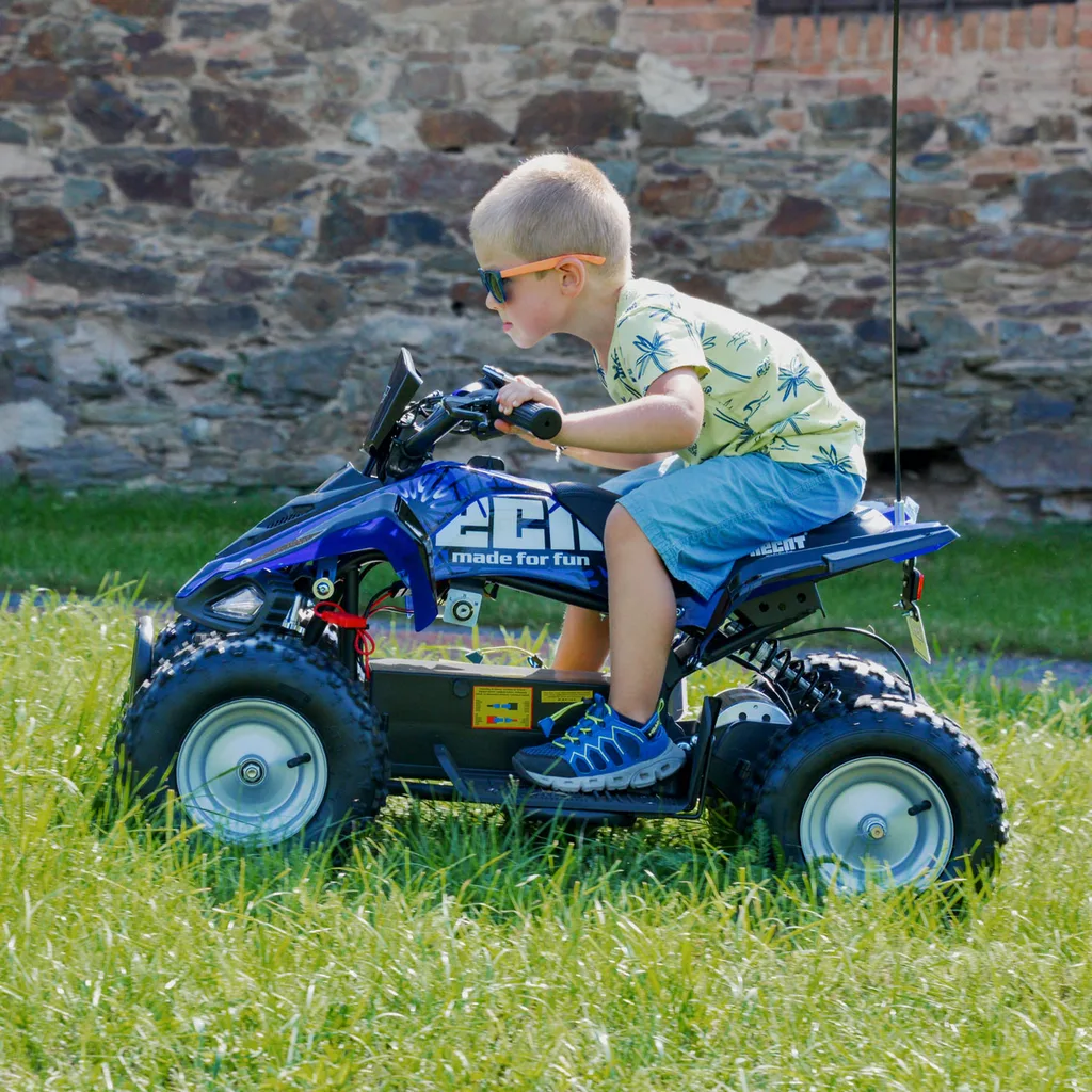 ATV pentru copii cu acumulator HECHT 54801 [3]