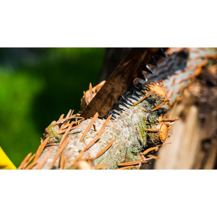 Ferăstrău cu arc 300 mm, două lame 10A903 TOPEX [6]