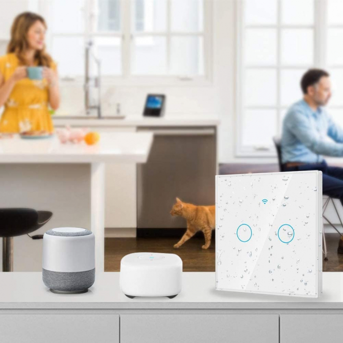 Intrerupator Smart cu Touch Rovo FN2C, 2 canale, Sticla Securizata, Tuya, Life Smart, RF 433MHz, Alexa si Google Assistant, fara nul [3]