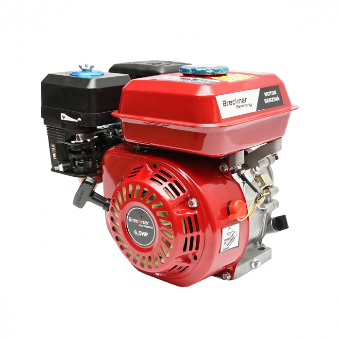Motor in 4 timpi Breckner Germany BK98450, 6.5 CP, diametru ax 20 mm [6]