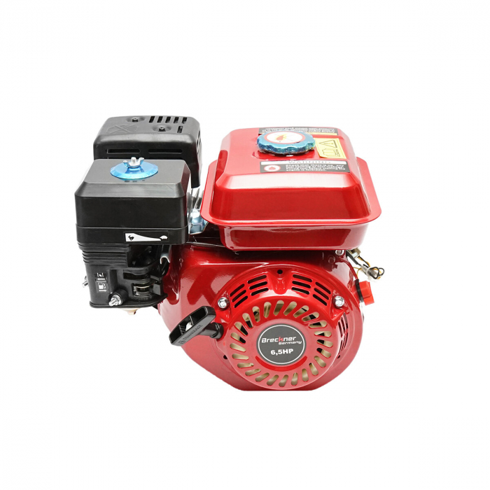 Motor in 4 timpi Breckner Germany BK98450, 6.5 CP, diametru ax 20 mm [5]