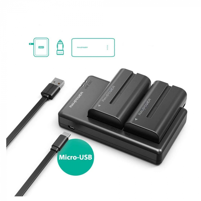 Set 2 acumulatori NP-F550 cu incarcator RAVPower RP-BC006, pentru camere SONY CCD-RV100 RV200 Seria SC, Seria TR [4]