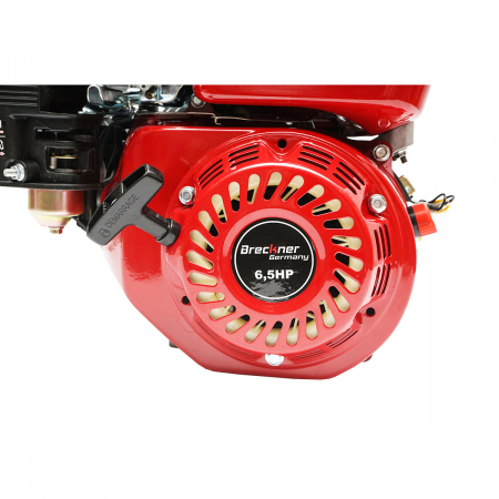 Motor in 4 timpi Breckner Germany BK98450, 6.5 CP, diametru ax 20 mm [1]