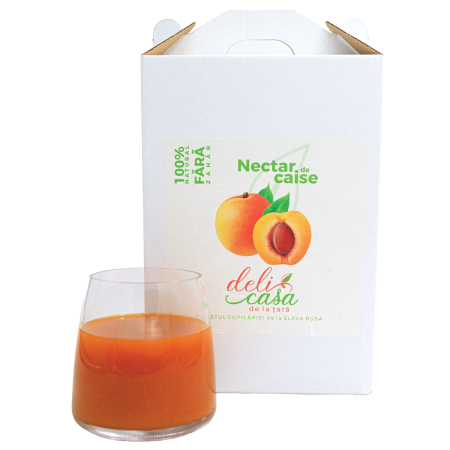 nectar-de-caise-premium-fara-zahar-3l-delicasa [1]