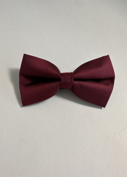 Papion Bordo [2]