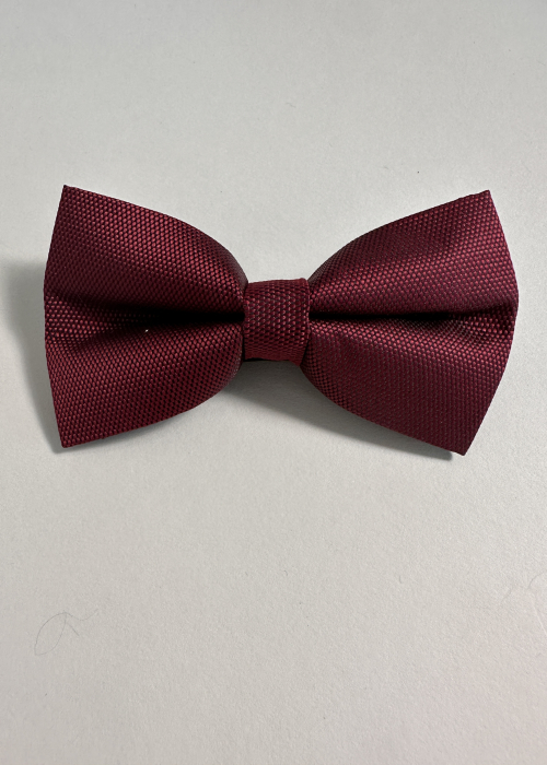 Papion Bordo [3]