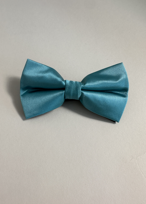 Papion Turquoize [2]