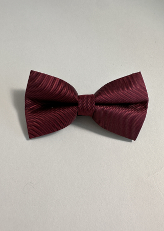 Papion Bordo [1]