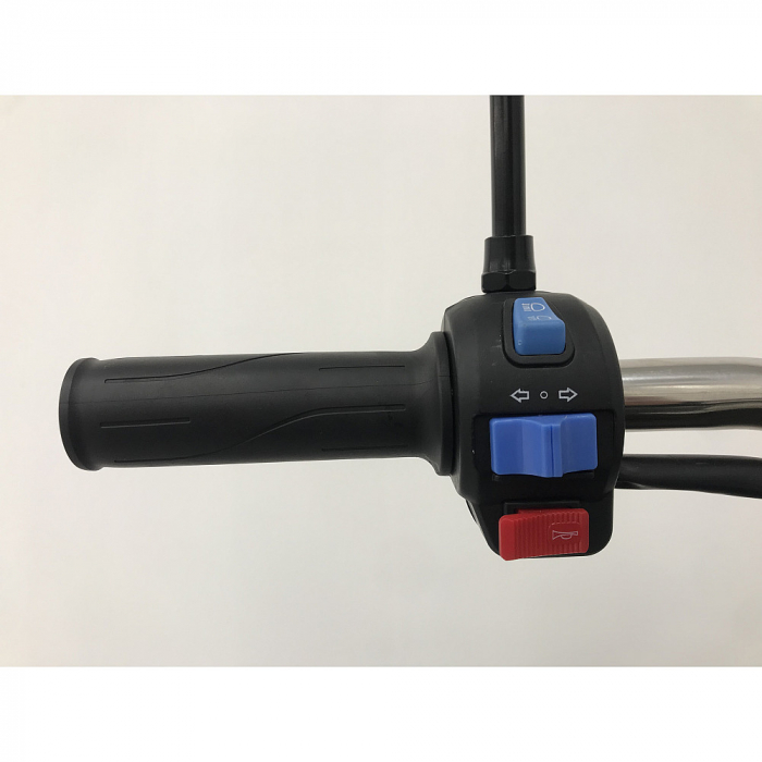 Triciclu electric RDB L-KLASS 4 fara permis, 1350W... [6]