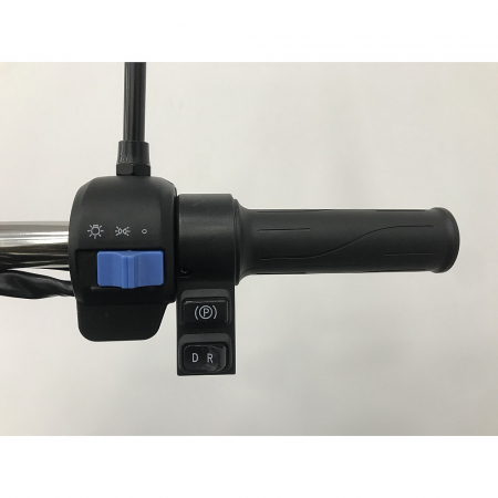 Triciclu electric RDB L-KLASS 4 fara permis, 1350W... [4]