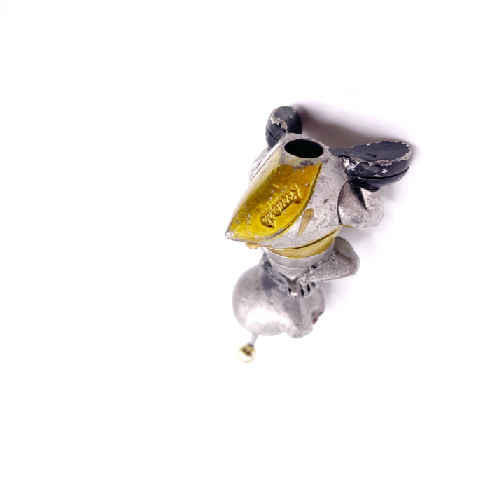 Miniatura albinuta [2]