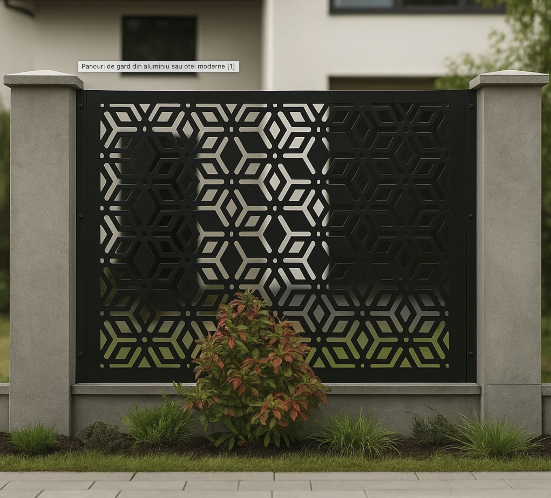 Modern fences for an impressive exterior.