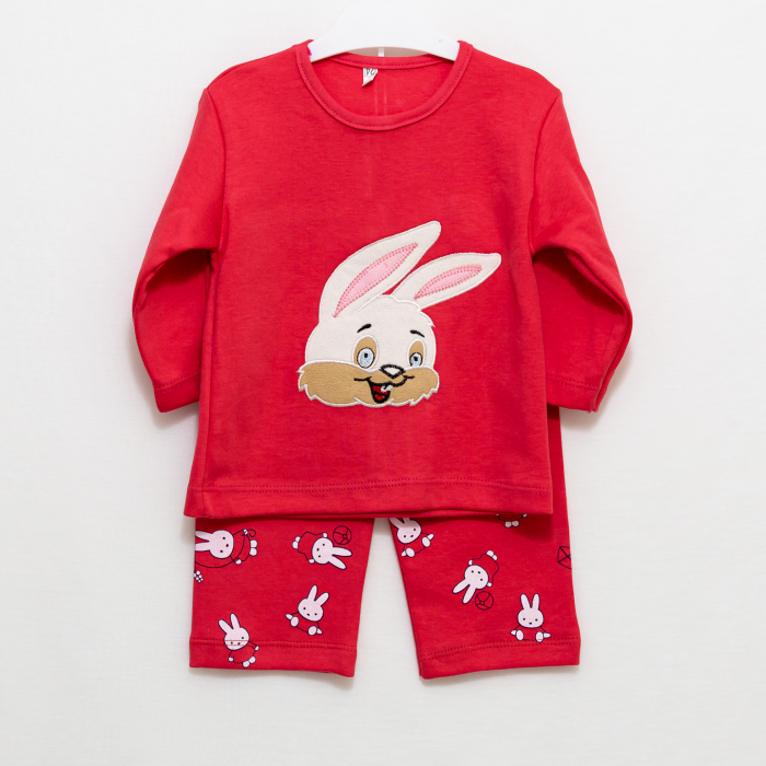 Set 2 piese bebe bluza si pantaloni model Iepuras [4]