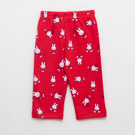 Set 2 piese bebe bluza si pantaloni model Iepuras [1]