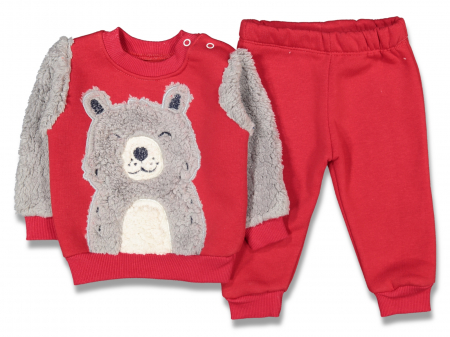 Compleuri - Set 2 piese - Bluza si pantaloni pentru bebe Ursulet