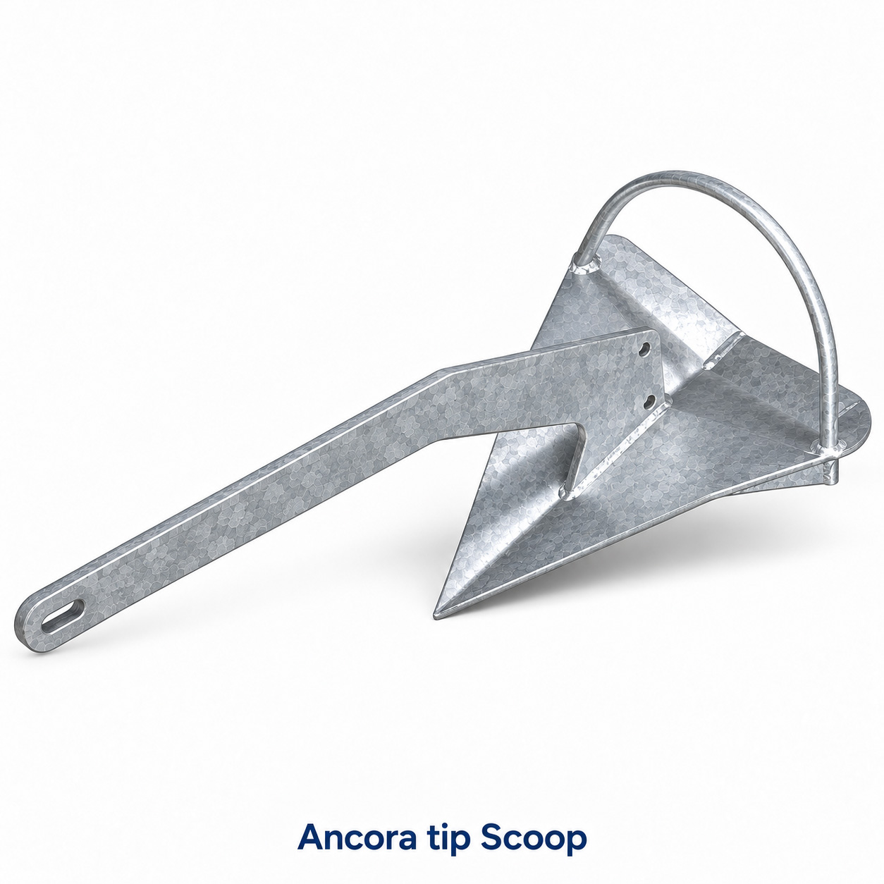 Ancora Scoop