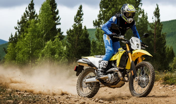 Suzuki DR-Z4S [11]