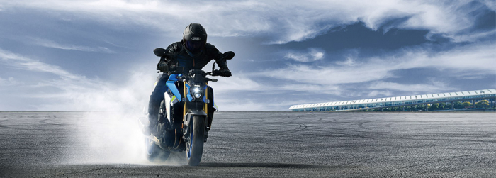 SUZUKI GSX-S 1000 [14]