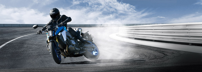 SUZUKI GSX-S 1000 [8]