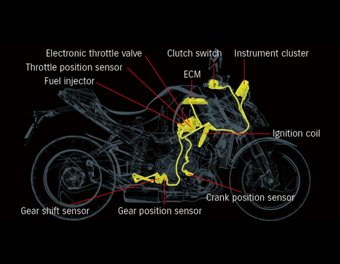 SUZUKI GSX-S 1000 [6]
