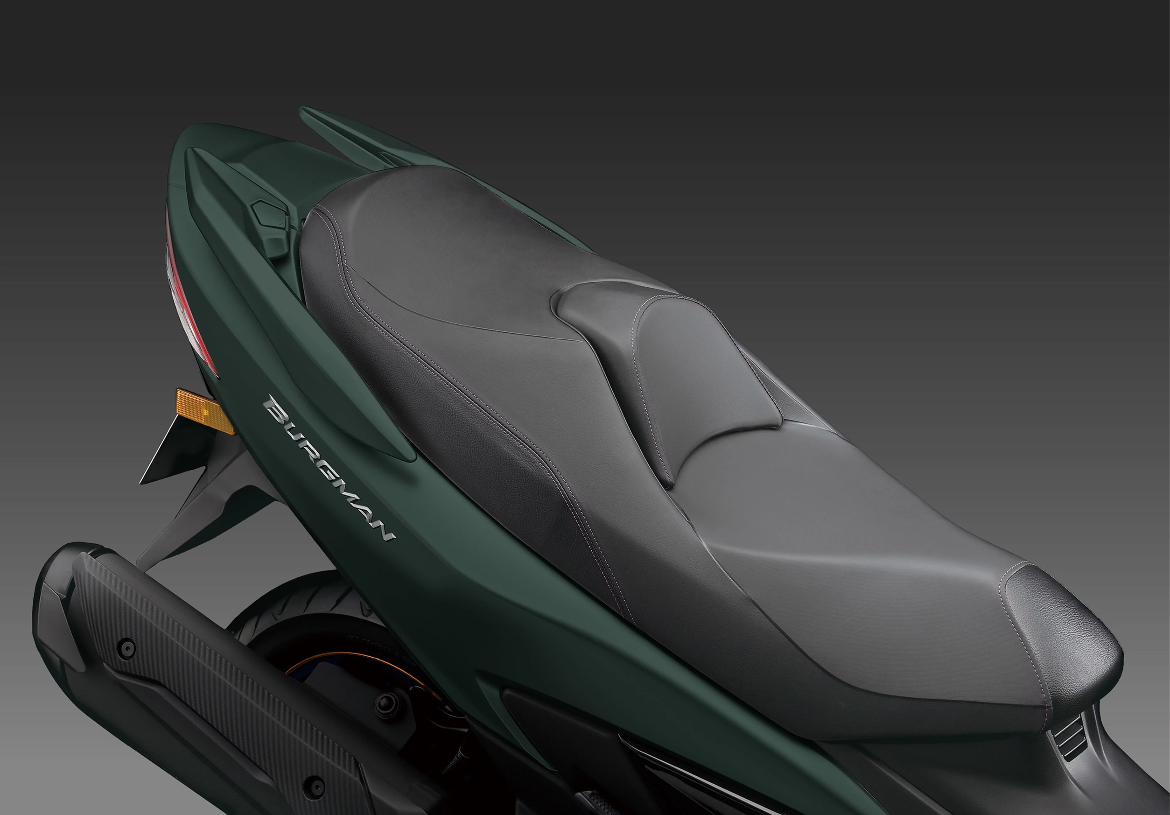 Suzuki Burgman AN 400 [11]