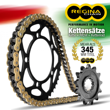 CONSUMABILE SERVICE - Kit lant REGINA  BRIXTON CROMWELL 125/ABS '21-