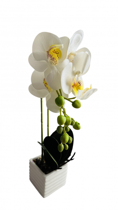 Orhidee decorativa artificiala, in ghiveci ceramic [6]
