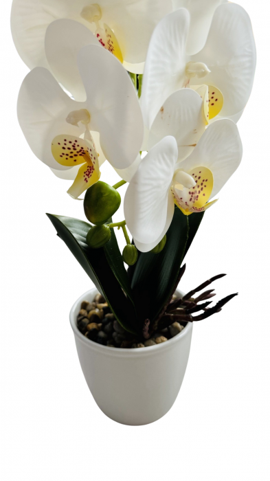 Orhidee decorativa artificiala, in ghiveci ceramic, 45 cm [5]