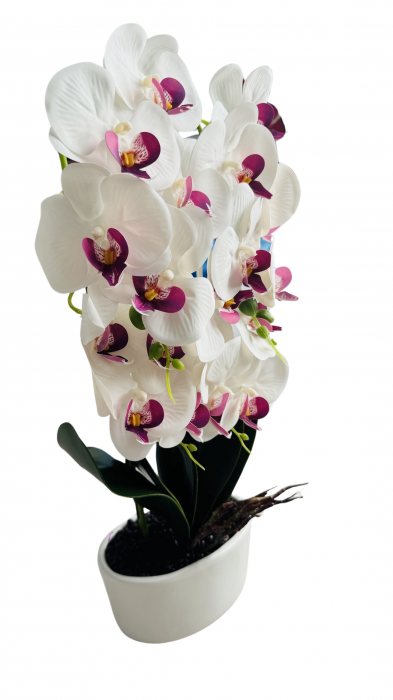 Orhidee decorativa, artificiala, in ghiveci ceramic, 54 cm [3]