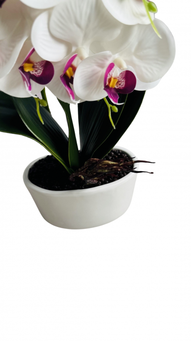 Orhidee decorativa, artificiala, in ghiveci ceramic, 54 cm [2]