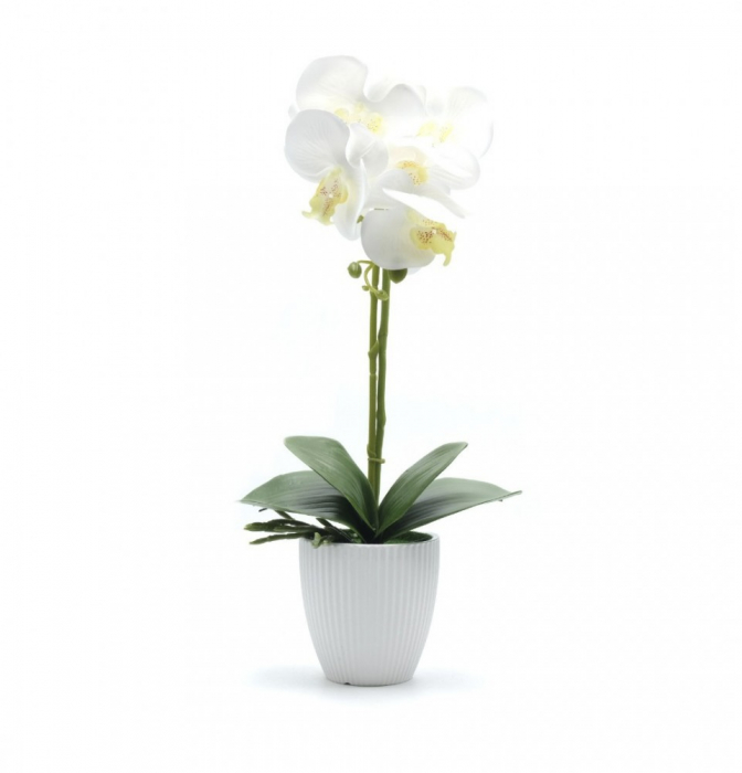Orhidee decorativa artificiala, in ghiveci ceramic [2]