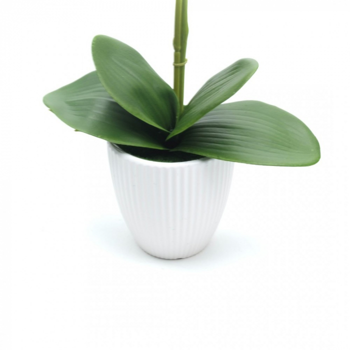 Orhidee decorativa artificiala, in ghiveci ceramic [5]