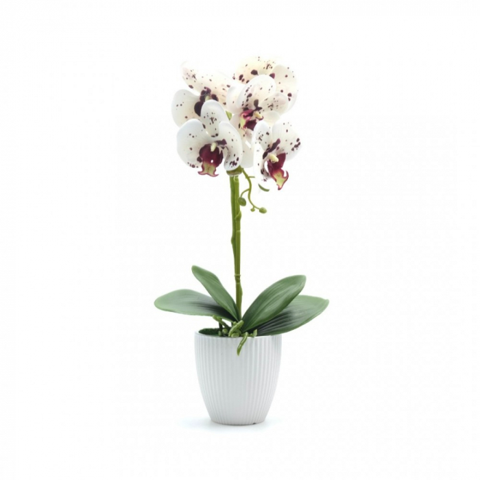 Orhidee decorativa artificiala, in ghiveci ceramic [3]