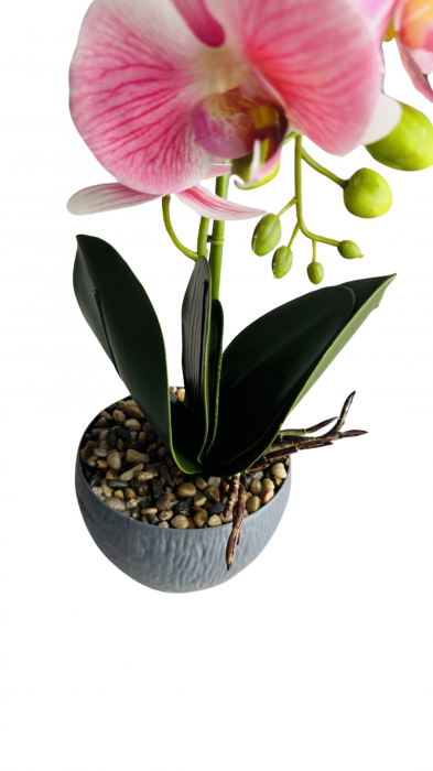 Orhidee decorativa artificiala, in ghiveci plastic, 50 cm [3]